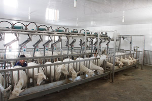 ������(918)�ٷ���վ - ���������