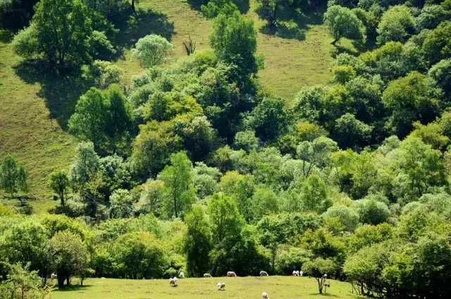 博天堂(918)官方网站 - 让你更精彩