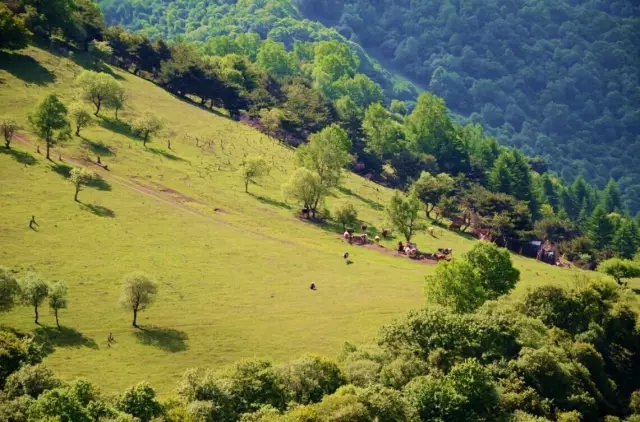 博天堂(918)官方网站 - 让你更精彩