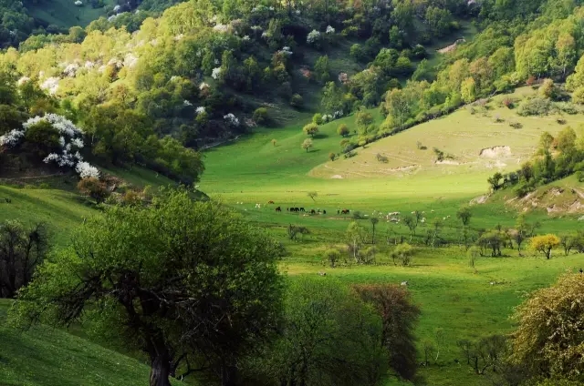 博天堂(918)官方网站 - 让你更精彩