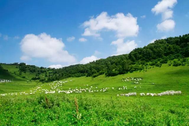 博天堂(918)官方网站 - 让你更精彩