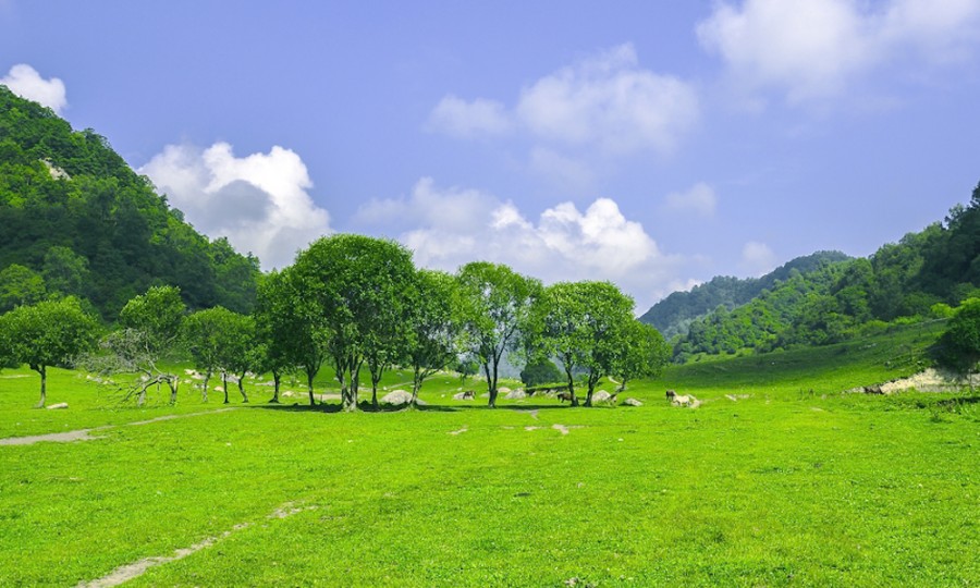 博天堂(918)官方网站 - 让你更精彩