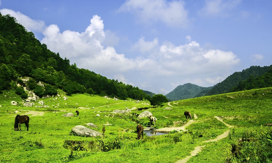 博天堂(918)官方网站 - 让你更精彩