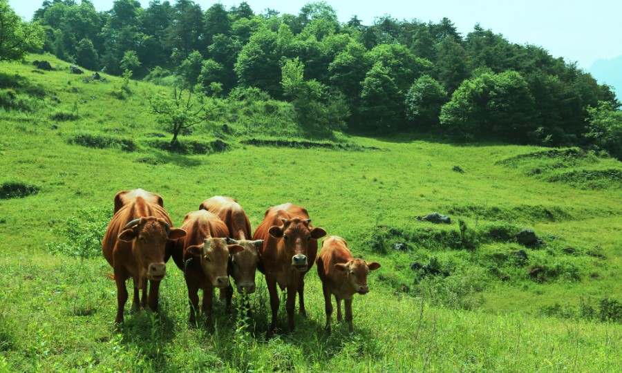 博天堂(918)官方网站 - 让你更精彩