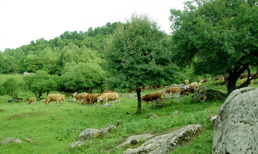 博天堂(918)官方网站 - 让你更精彩