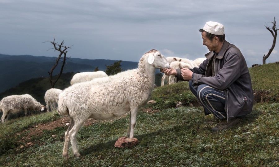 博天堂(918)官方网站 - 让你更精彩