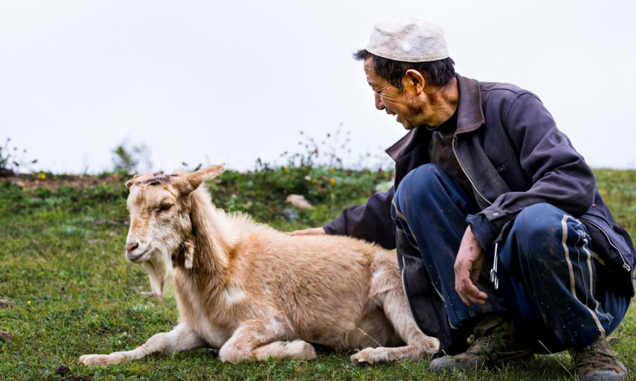 博天堂(918)官方网站 - 让你更精彩