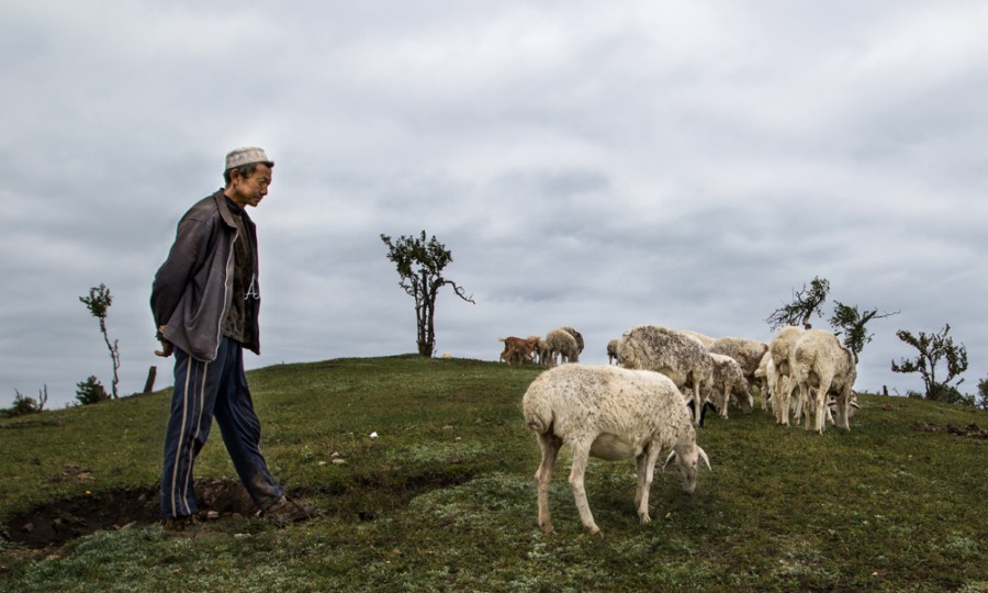 博天堂(918)官方网站 - 让你更精彩