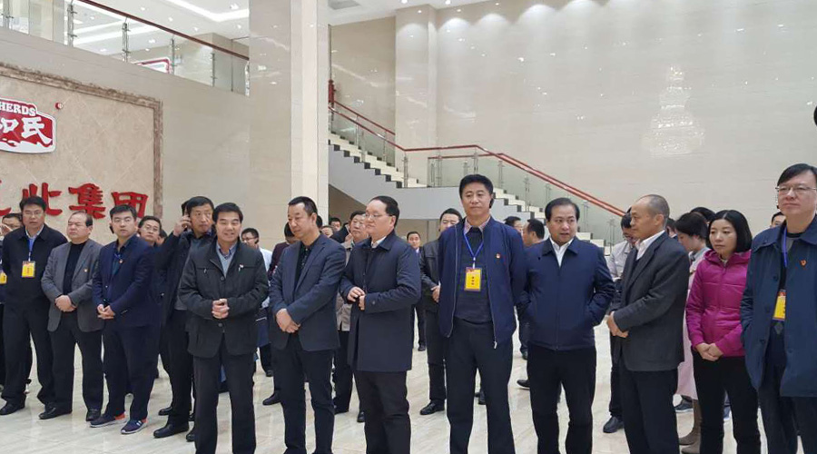 博天堂(918)官方网站 - 让你更精彩