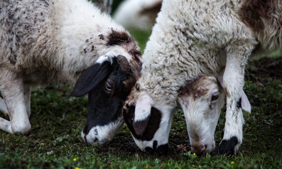 博天堂(918)官方网站 - 让你更精彩