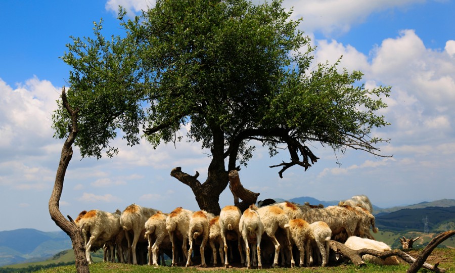 博天堂(918)官方网站 - 让你更精彩