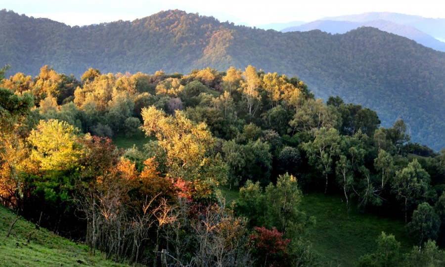 博天堂(918)官方网站 - 让你更精彩
