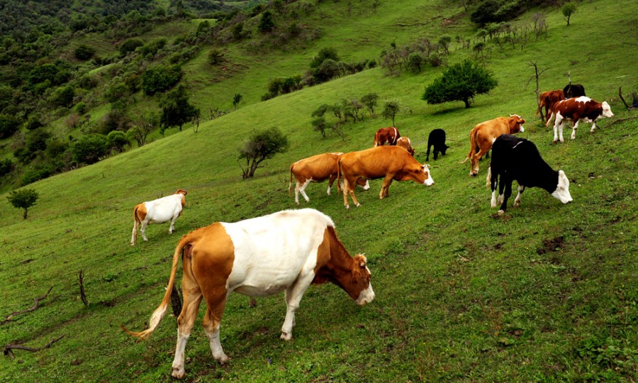 博天堂(918)官方网站 - 让你更精彩