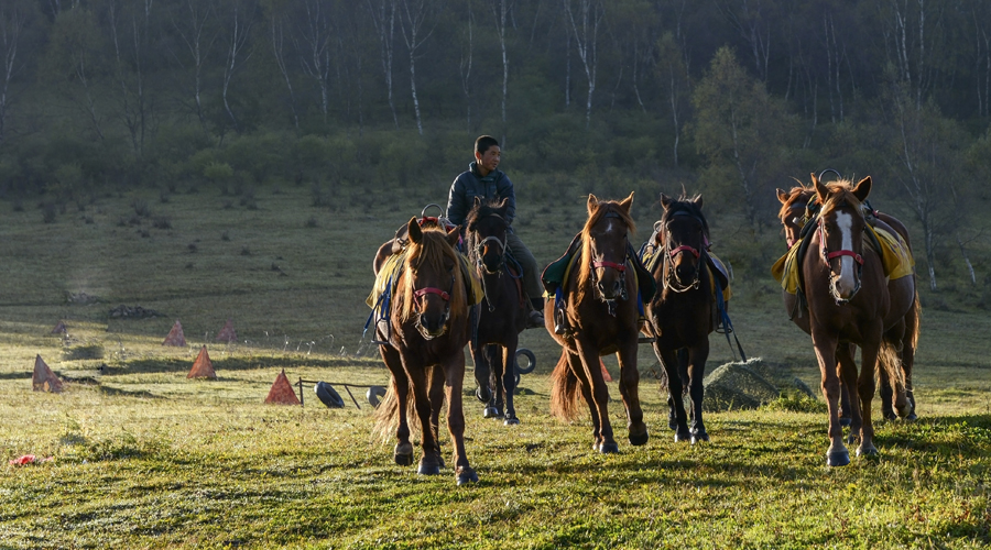 博天堂(918)官方网站 - 让你更精彩