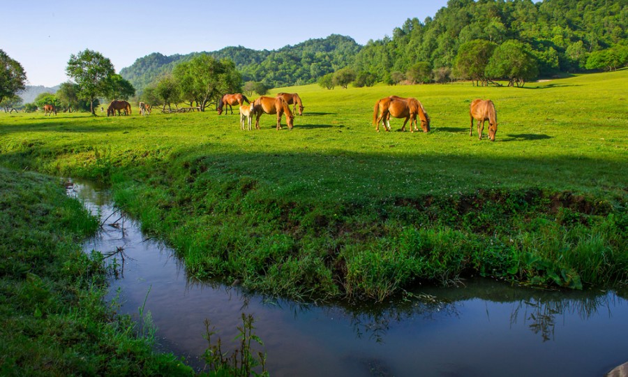 博天堂(918)官方网站 - 让你更精彩