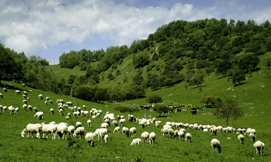 博天堂(918)官方网站 - 让你更精彩