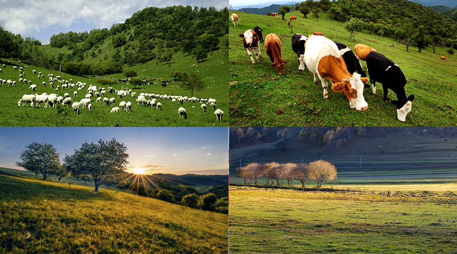 博天堂(918)官方网站 - 让你更精彩