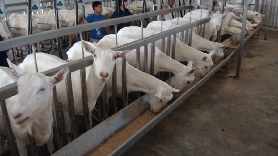 博天堂(918)官方网站 - 让你更精彩