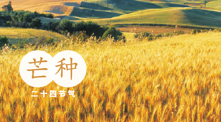 博天堂(918)官方网站 - 让你更精彩