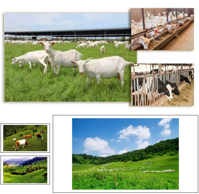 博天堂(918)官方网站 - 让你更精彩