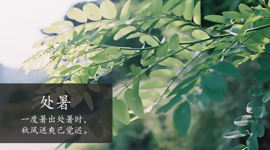 博天堂(918)官方网站 - 让你更精彩