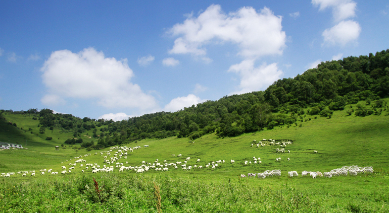博天堂(918)官方网站 - 让你更精彩