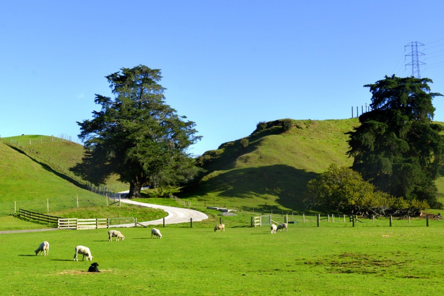 博天堂(918)官方网站 - 让你更精彩