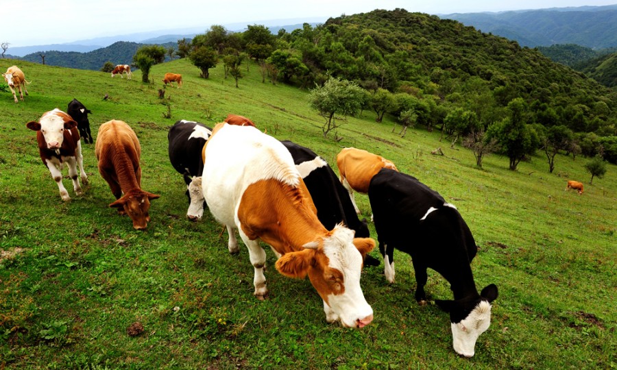 博天堂(918)官方网站 - 让你更精彩