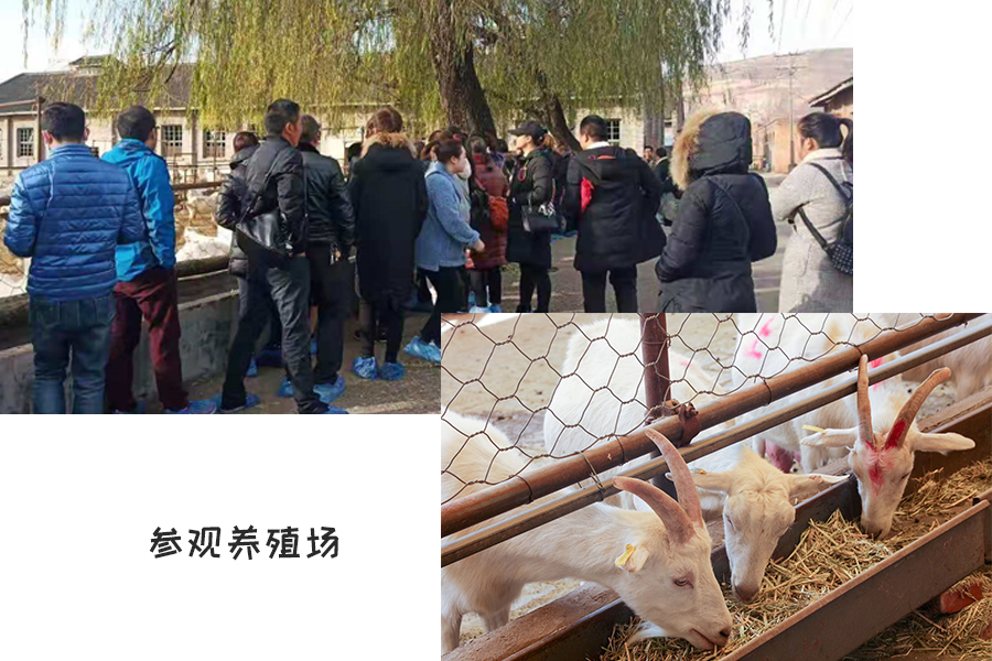 博天堂(918)官方网站 - 让你更精彩