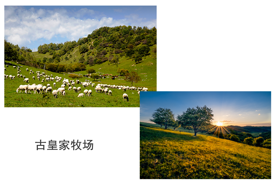 博天堂(918)官方网站 - 让你更精彩