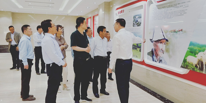 博天堂(918)官方网站 - 让你更精彩