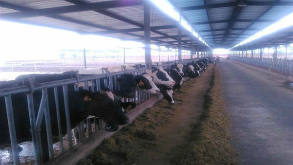 博天堂(918)官方网站 - 让你更精彩