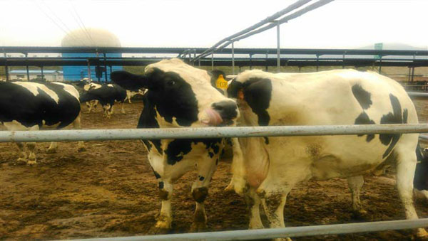 博天堂(918)官方网站 - 让你更精彩