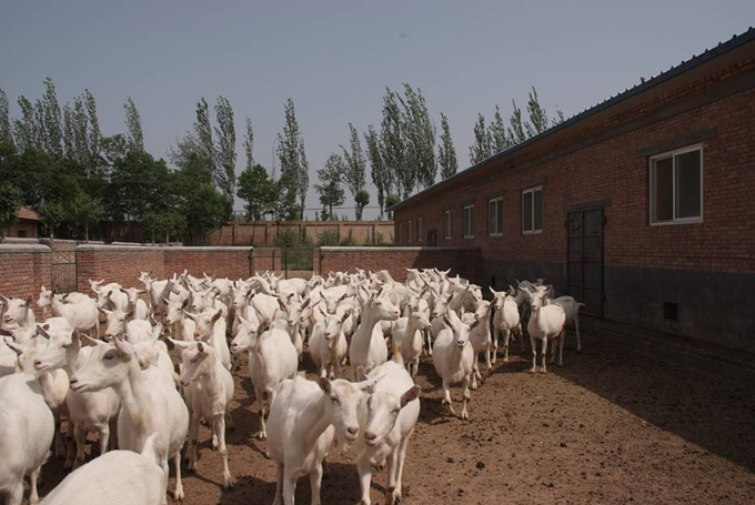 博天堂(918)官方网站 - 让你更精彩