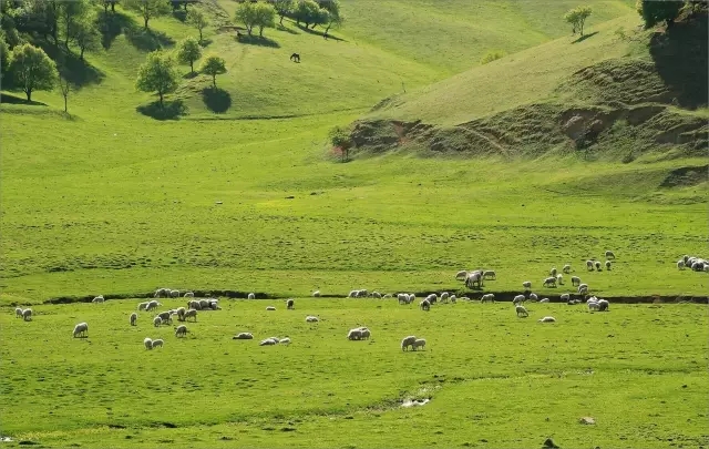 博天堂(918)官方网站 - 让你更精彩