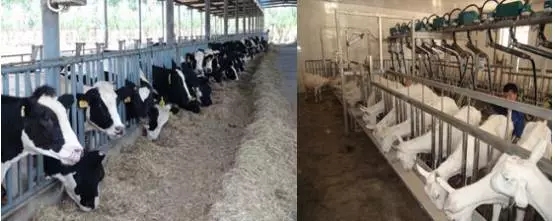 博天堂(918)官方网站 - 让你更精彩