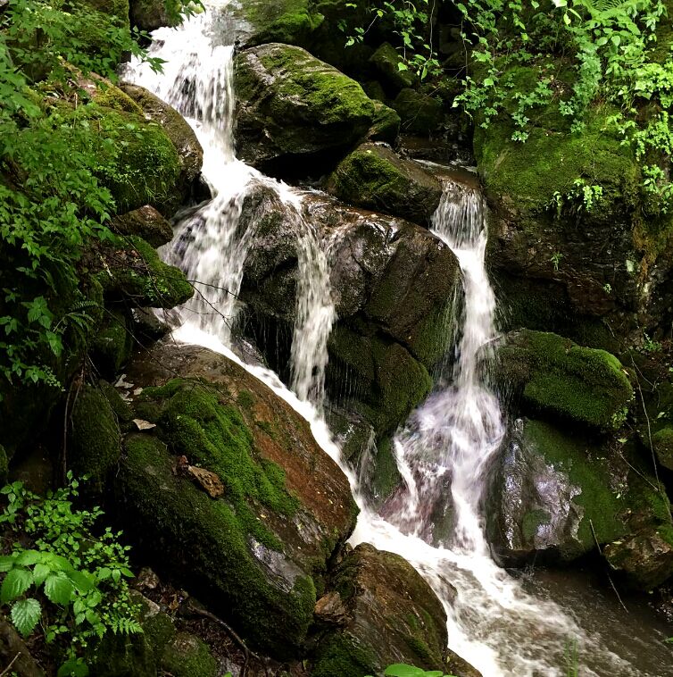 博天堂(918)官方网站 - 让你更精彩