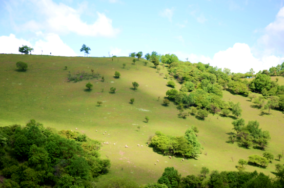 博天堂(918)官方网站 - 让你更精彩