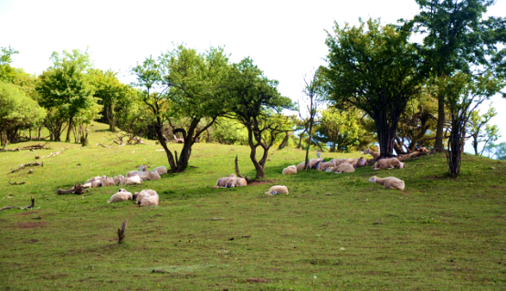 博天堂(918)官方网站 - 让你更精彩
