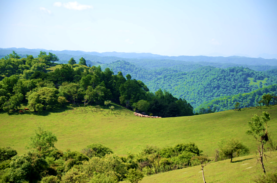 博天堂(918)官方网站 - 让你更精彩