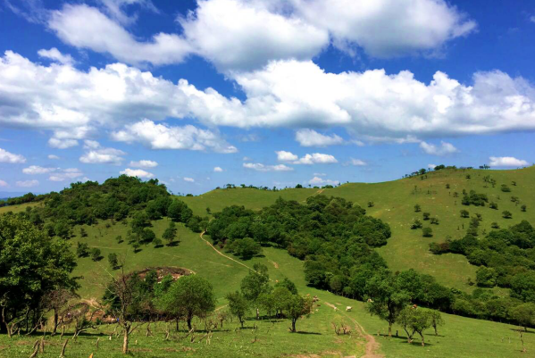 博天堂(918)官方网站 - 让你更精彩