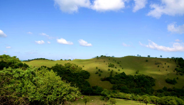 博天堂(918)官方网站 - 让你更精彩