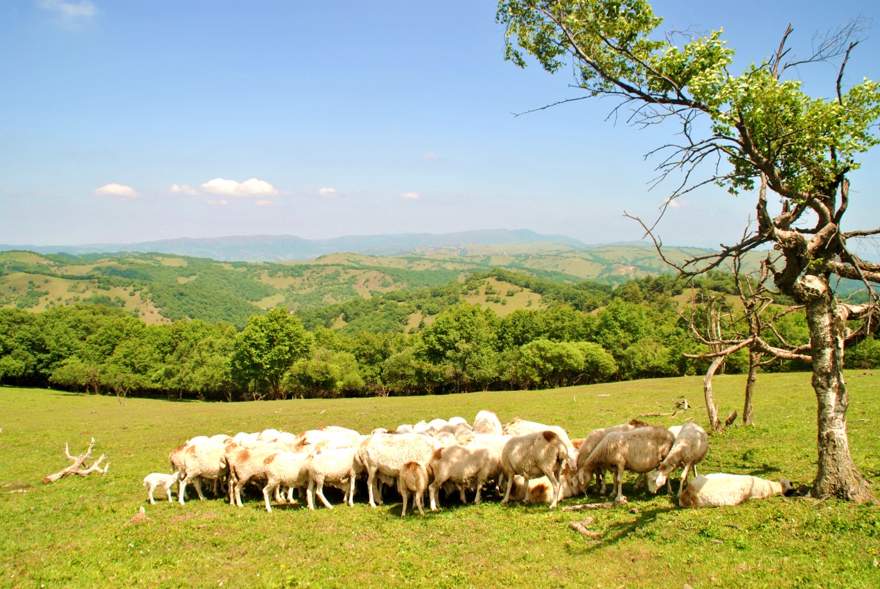博天堂(918)官方网站 - 让你更精彩